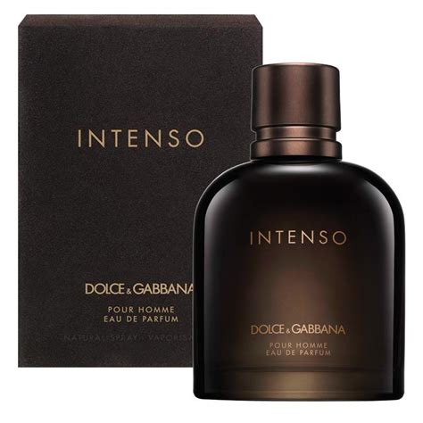 dolce gabbana intenso precio|Dolce & Gabbana intense for men.